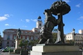 El Oso y el Madroño (Flickr - Rob Inh00d)